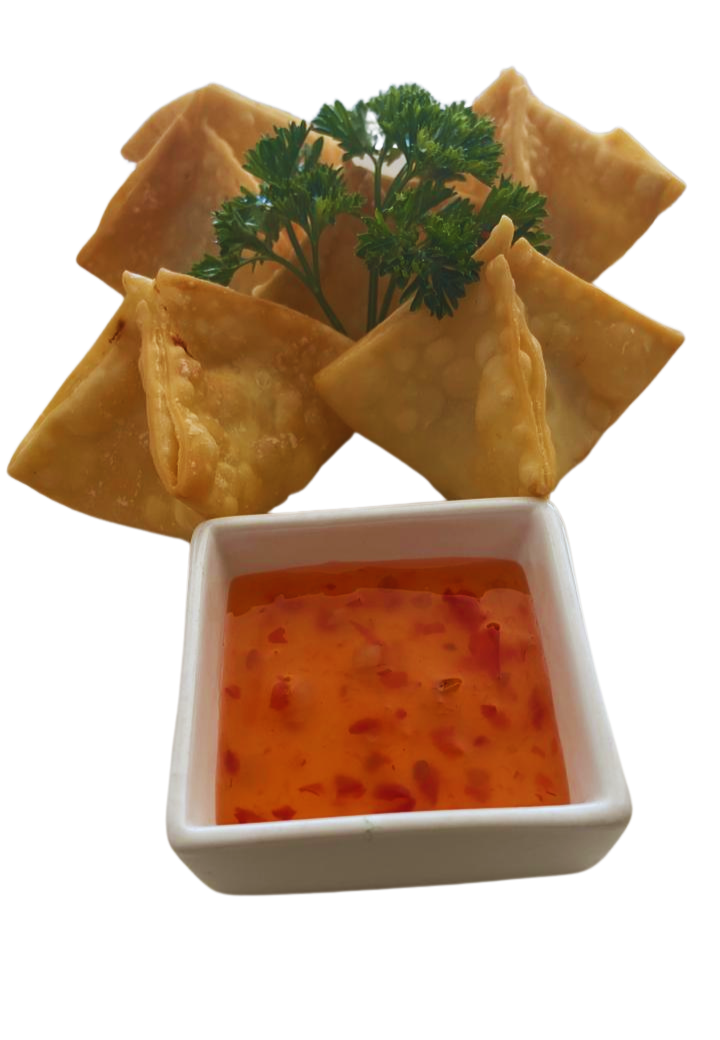 Teriyaki wantan